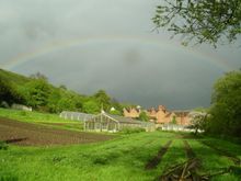 Visit Tolhurst Organics, unique organic farm and garden at Whitchurch-on-Thames, near Reading