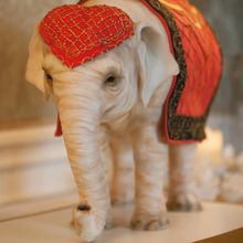 Michelle Wibowo's Showstopper Wedding Cakes_wedding elephant