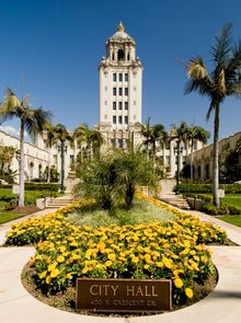 Front of City Hall Flowers