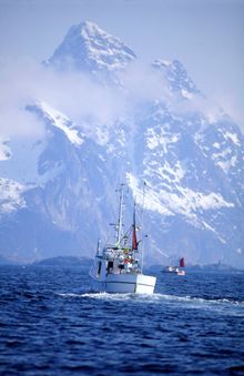 Skrei Fishing Boat
