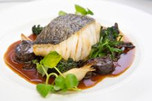 Roasted Loin of Skrei , Celeriac  and wild mushrooms, Morcilla, confit onion and sprouting broccoli