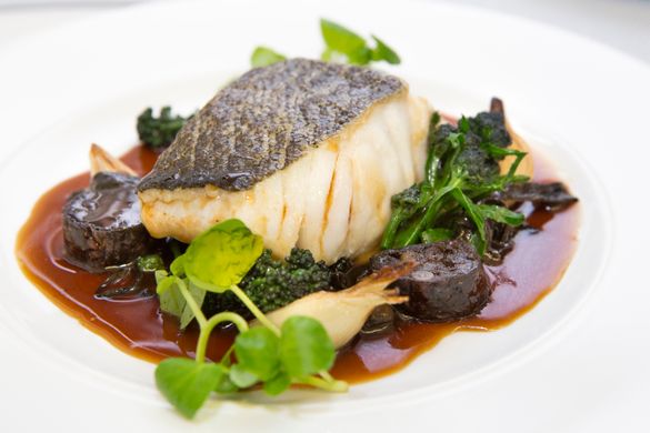 Roasted Loin of Skrei , Celeriac and wild mushrooms, Morcilla, confit onion and sprouting broccoli Roasted Loin of Skrei , Celeriac and wild mushrooms, Morcilla, confit onion and sprouting broccoli