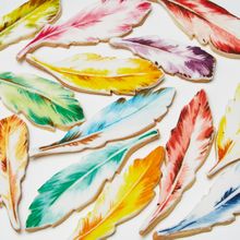 Edible paint_feather cookies by Natasha Collins