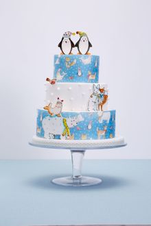 Christmas cake decorated with SK Natasha Collins Designer Wafer Paper