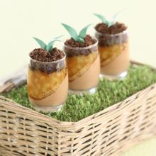Mastering Chocolate recipe: pear and chocolate mousse pots