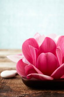 Mother's Day NUO SPA