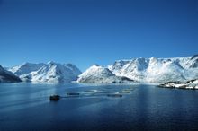 Norwegian Salmon Farming