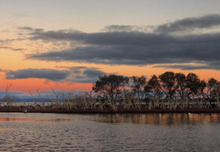 Len Howard Conservation Park, Mandurah