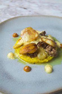 Roast scallops, curry & piccalilli