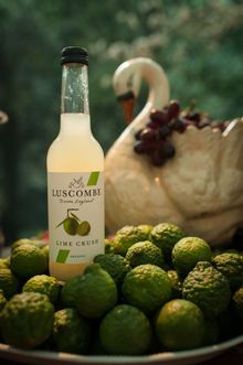 Luscombe Drinks Lime Crush
