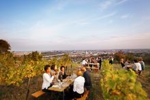 Wieninger vineyard on the Nussberg