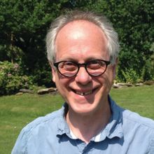 Airborne Allergens Expert Max Wiseberg