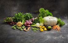 Fresh and local has never looked better in WA. 