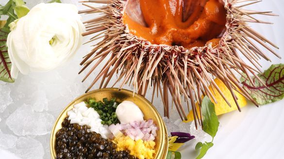 Sea Urchin and NUO Caviar 海胆鱼子酱 Sea Urchin and NUO Caviar 海胆鱼子酱