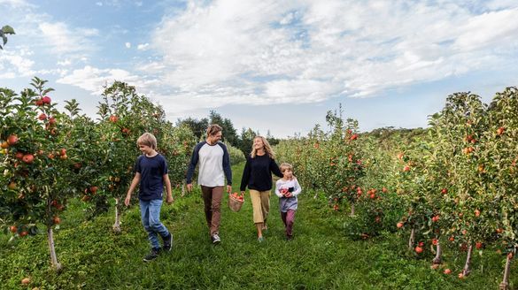 Shields Orchard, Bilpin