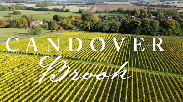 Candover Brook - A Year in the Life of a Vineyard