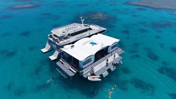 Reef Sanctuary  Reef Sanctuary